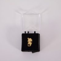 Jewelry-Lion-Recognition-Pin