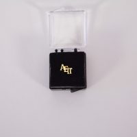 Jewelry-Staggered-AEPi-Letters-Recognition-Pin
